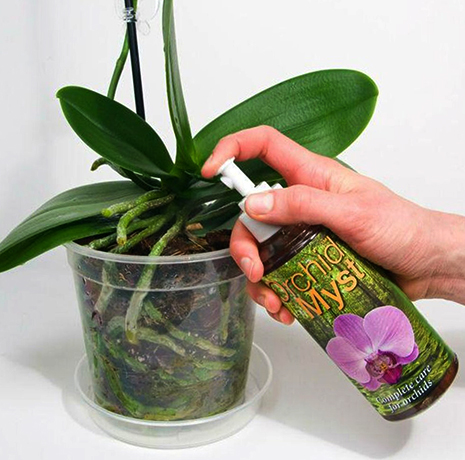 Подкормка Орхидеи Фаленопсис