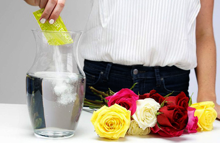 Добавление добавки в воду для роз